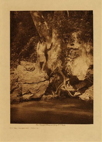 By the sycamore (Apache) 1906