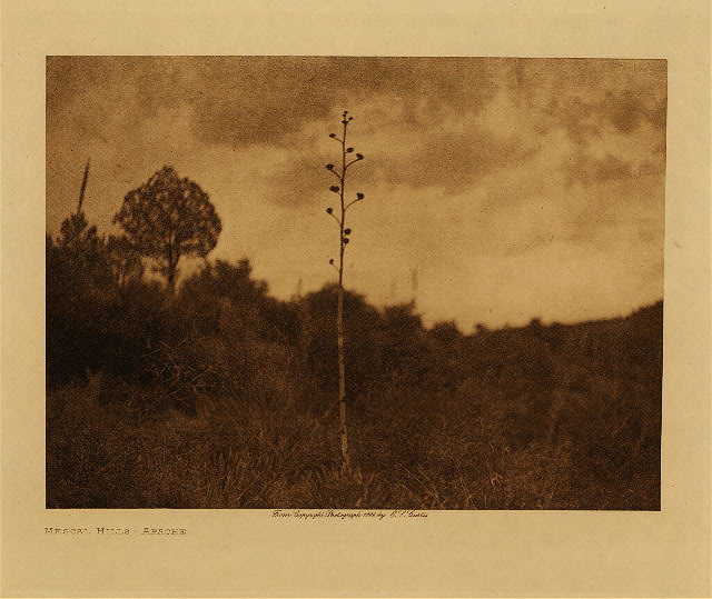 Mescall hills (Apache) 1906