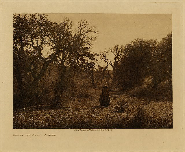 Among the oaks (Apache) 1903