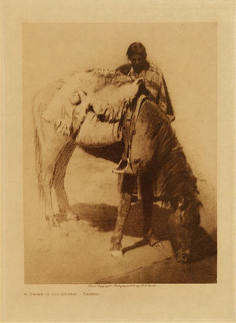 A drink in the desert (Navaho) 1904