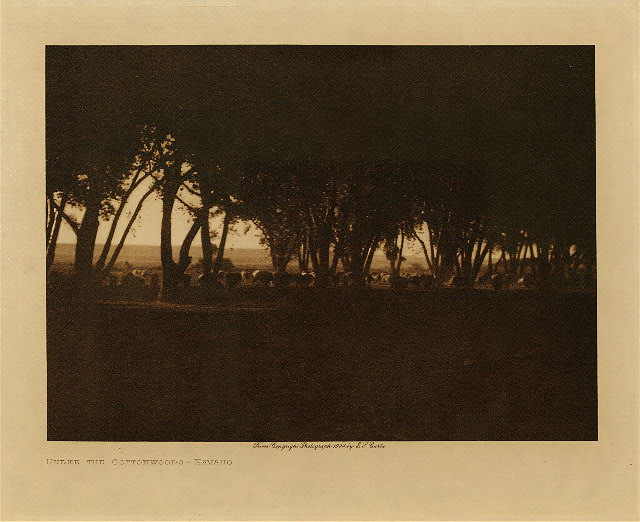 Under the cottonwoods (Navaho) 1904