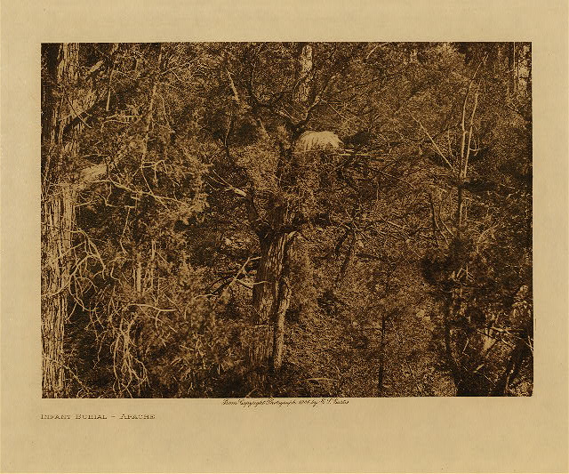 Infant burial (Apache) 1906