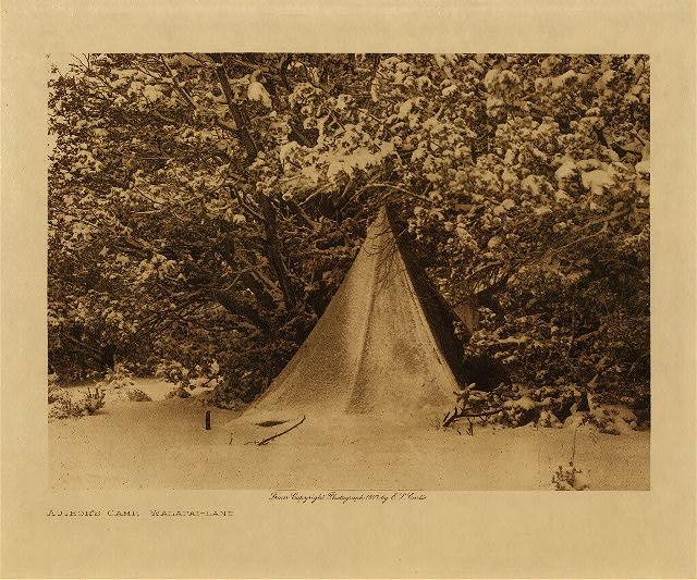 Author's camp, Walapai-land 1907