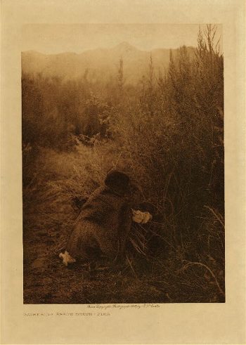 Gathering arrow-brush (Pima) 1907