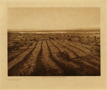 Stone maze 1907