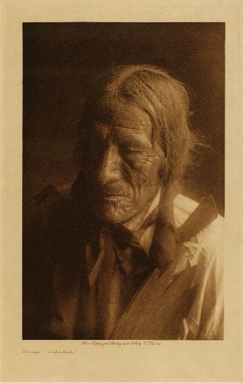 Shield (Ogalala) 1907
