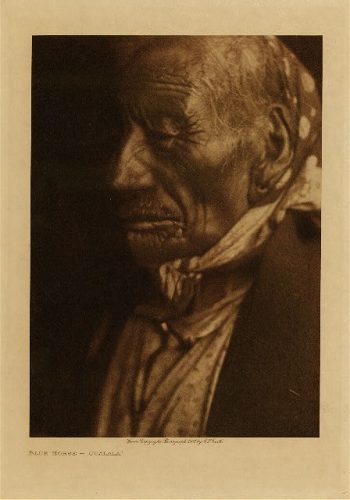 Blue Horse (Ogalala) 1907
