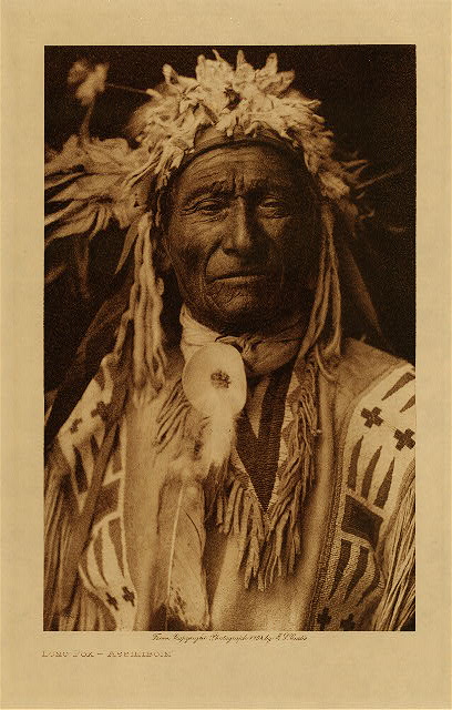 Long Fox (Assiniboin) 1908