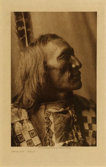 Little Dog (Brule) 1907