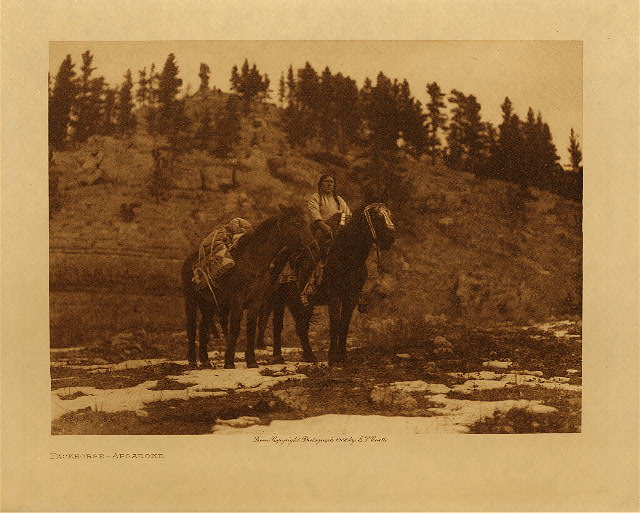 Packhorse (Apsaroke) 1908