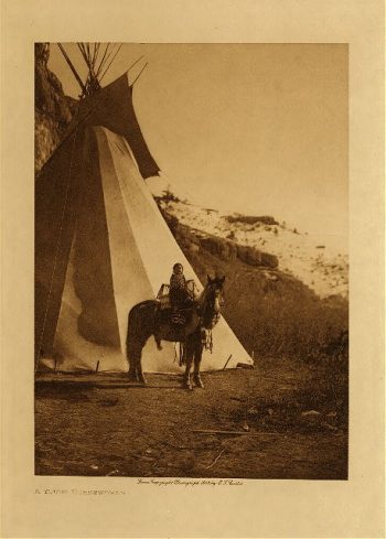 A young horsewoman 1908