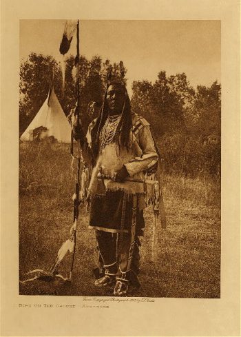 Bird On The Ground (Apsaroke) 1908
