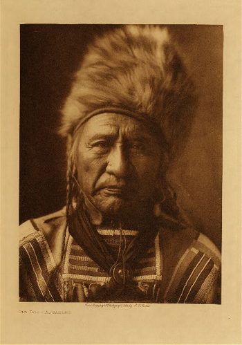 Old Dog (Apsaroke) 1908