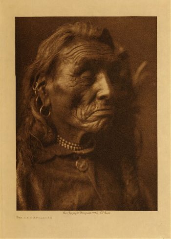 Big Ox (Apsaroke) 1908