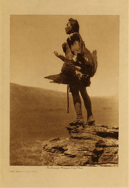 The eagle-catcher 1908