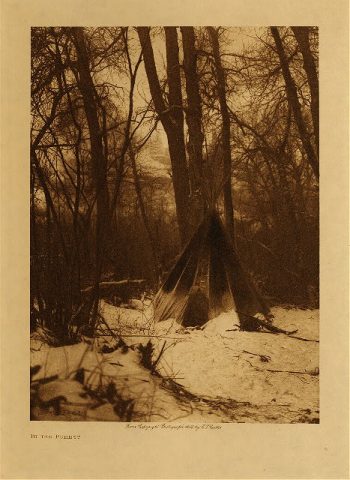 In the forest 1908