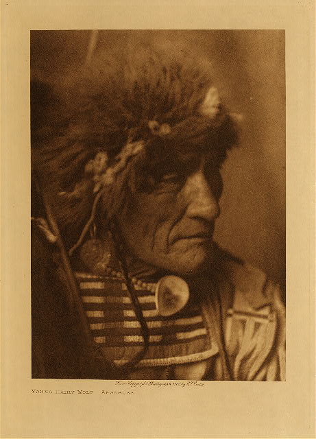 Young Hairy Wolf (Apsaroke) 1908