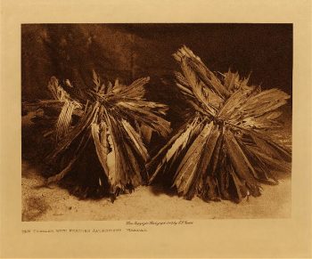 The turtles, with feather adornment (Mandan) 1908