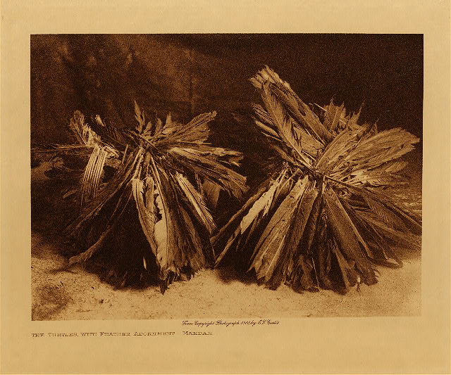 The turtles, with feather adornment (Mandan) 1908