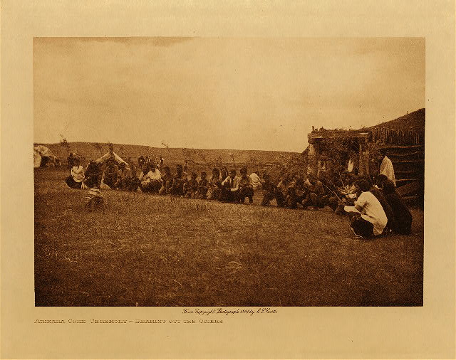Arikara corn ceremony : bearing out the osiers 1908