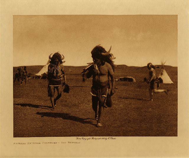 Arikara medicine ceremony : The buffalo 1908