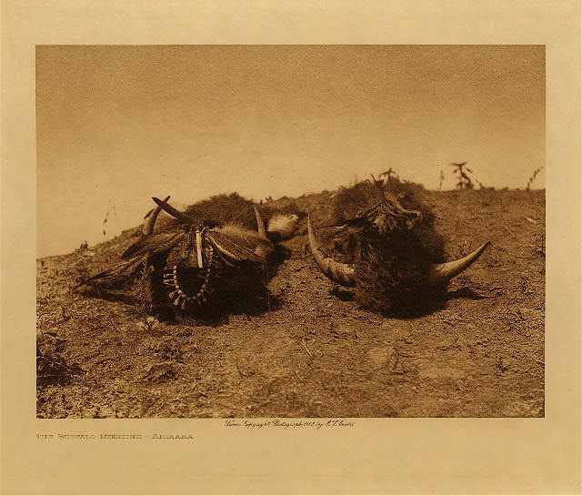 The buffalo-medicine (Arikara) 1908