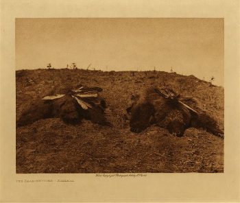 The bear-medicine (Arikara) 1908
