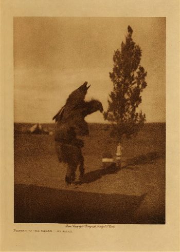 Prayer to the cedar (Arikara) 1908