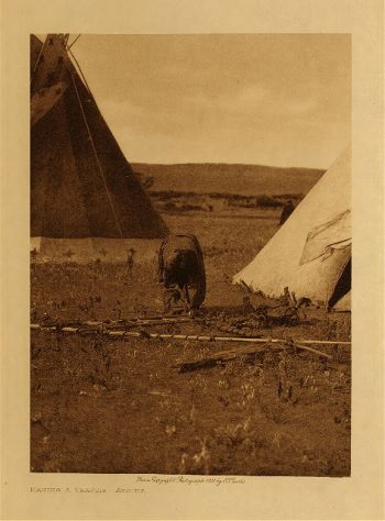 Making a travois (Atsina) 1908