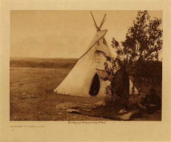 Arikara summer home 1908