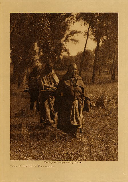 Wood-gatherers (Cheyenne) 1910