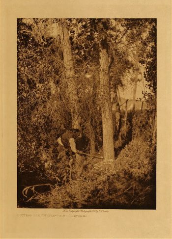 Cutting the centre pole (Cheyenne) 1911