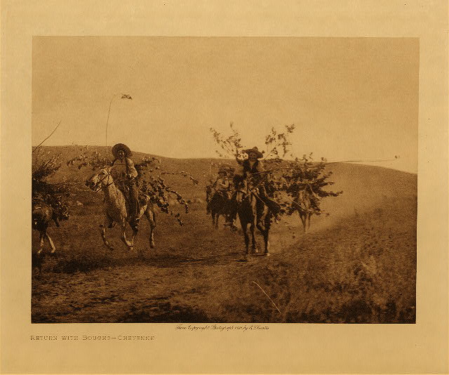 Return with boughs (Cheyenne) 1911