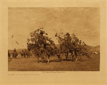 Boughs for the altar (Cheyenne) 1909