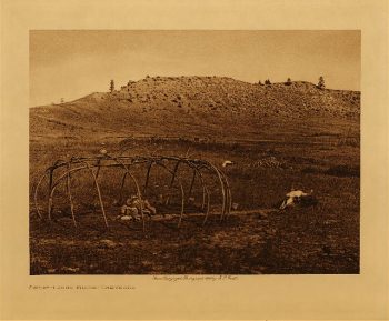 Sweat-lodge frame (Cheyenne) 1911