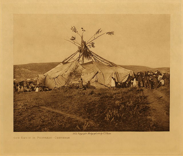Sun dance in progress (Cheyenne) 1910