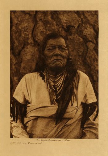 Not Indian (Flathead) 1910