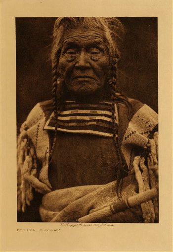 Red Owl (Flathead) 1910
