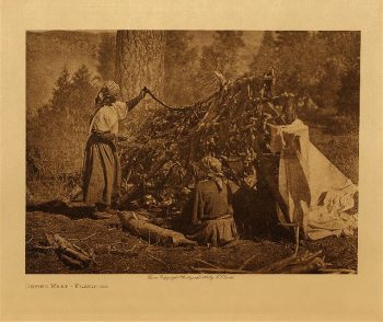 Drying meat (Flathead) 1910