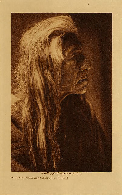 Grizzly-Bear Ferocious (Nez Perce) 1910