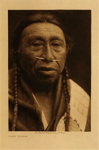 Spidis (Wishham) 1910