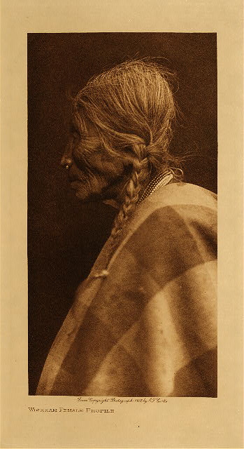 Wishham female profile 1910