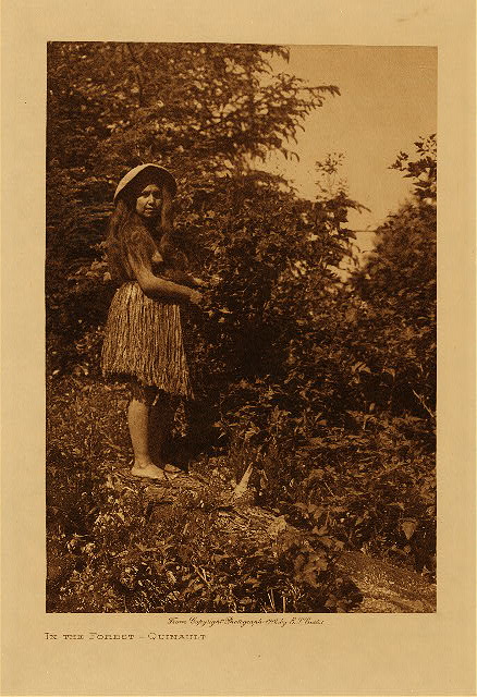 In the forest (Quinault) 1912