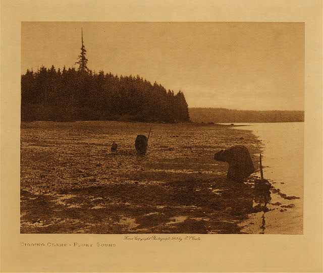 Diggling clams (Puget Sound) 1912