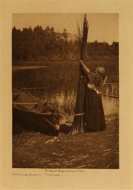 Tying the bundle (Cowichan) 1912