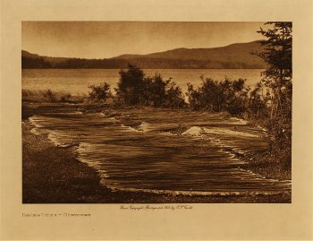 Drying tules (Cowichan) 1912
