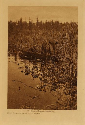 Tule gatherers (Puget Sound) 1912