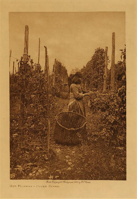 Hop pickers (Puget Sound) 1898