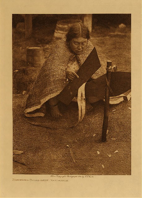Preparing cedar-bark (Nakoaktok) 1914