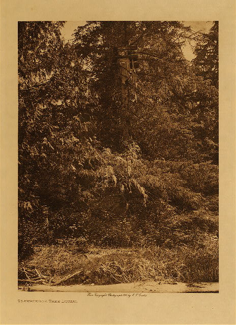 Tsawatenok tree burial 1914